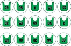 Netball positions green15 for sale  Delivered anywhere in UK