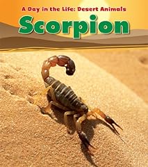 Scorpion d'occasion  Livré partout en France