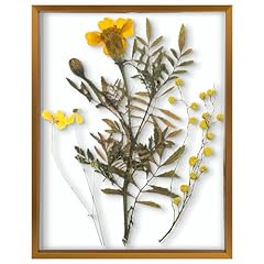Frametory floating picture for sale  Delivered anywhere in USA 