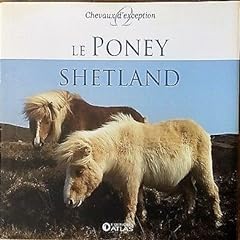Poney shetland d'occasion  Livré partout en France