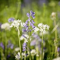 Suttons woodland garden for sale  Delivered anywhere in UK