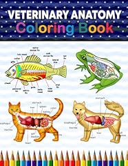 Veterinary anatomy coloring for sale  Delivered anywhere in Ireland