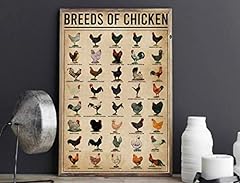 Eeypy breeds chicken for sale  Delivered anywhere in UK