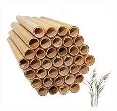 Mason bee tubes for sale  Delivered anywhere in USA 