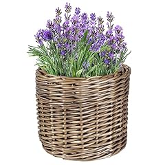 Dibor natural willow for sale  Delivered anywhere in UK