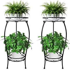 Casimr 2pack plant for sale  Delivered anywhere in USA 