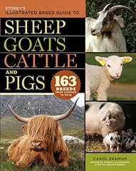 Storey illustrated breed d'occasion  Livré partout en France