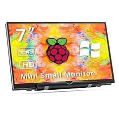 Hamtysan display raspberry usato  Spedito ovunque in Italia 