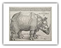 Ibis albrecht durer for sale  Delivered anywhere in USA 