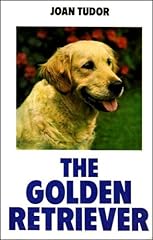 Golden retriever for sale  Delivered anywhere in UK