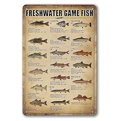 Fishing wall decor for sale  Delivered anywhere in USA 