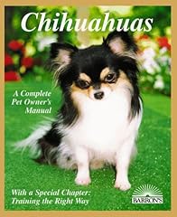 Chihuahuas everything about d'occasion  Livré partout en France