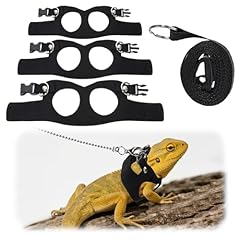 Pack bearded dragon for sale  Delivered anywhere in UK