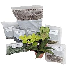 Terrarium fairy garden for sale  Delivered anywhere in USA 