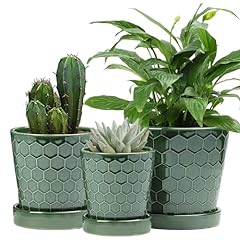 Ceramic plant pots for sale  Delivered anywhere in USA 