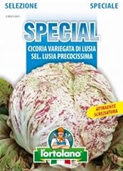 Ortolano sementi ortaggi usato  Spedito ovunque in Italia 