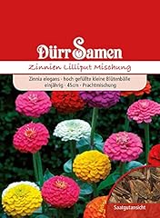 Zinnie samen lilliput gebraucht kaufen  Wird an jeden Ort in Deutschland