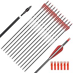Ylsio archery carbon for sale  Delivered anywhere in USA 