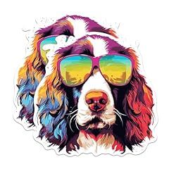 English springer spaniel for sale  Delivered anywhere in USA 