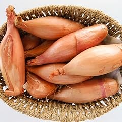 Premier seeds direct for sale  Delivered anywhere in UK