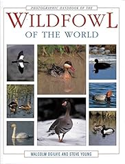 Photographic handbook wildfowl for sale  Delivered anywhere in UK