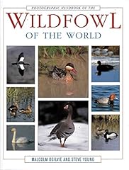 Photographic handbook wildfowl for sale  Delivered anywhere in UK