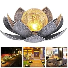 Funmo lotus flowers for sale  Delivered anywhere in UK