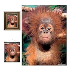 Livelife lenticular wall for sale  Delivered anywhere in USA 