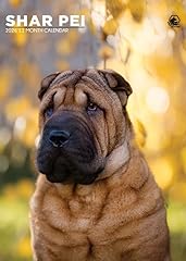 Shar pei dog for sale  Delivered anywhere in UK