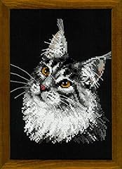 Riolis maine coon d'occasion  Livré partout en France