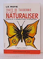 papillon naturalise d'occasion  Livré partout en France