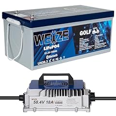 Weize 48v 105ah for sale  Delivered anywhere in USA 