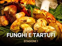 Funghi tartufi usato  Spedito ovunque in Italia 