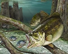 Largemouth bass wall for sale  Delivered anywhere in USA 