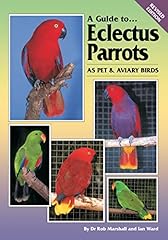 Eclectus parrots pet for sale  Delivered anywhere in UK