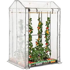 Christow tomato greenhouse for sale  Delivered anywhere in UK