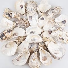 Qeqekaka 30pcs oyster for sale  Delivered anywhere in USA 
