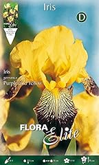 Bulbi primaverili iris usato  Spedito ovunque in Italia 