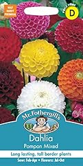 Fothergill 14600 dahlia for sale  Delivered anywhere in UK