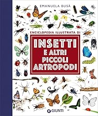 Insetti altri piccoli usato  Spedito ovunque in Italia 