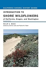 Introduction shore wildflowers for sale  Delivered anywhere in USA 