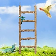 Bird ladder toy for sale  Delivered anywhere in USA 