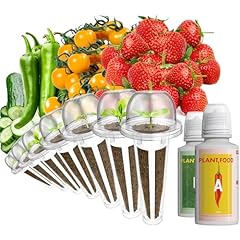 Lykoclean fruit seed for sale  Delivered anywhere in USA 