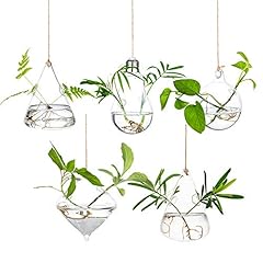Hanging glass planters for sale  Delivered anywhere in USA 