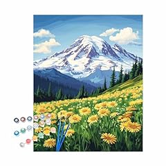 Paint number rainier for sale  Delivered anywhere in USA 