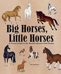 Big horses little usato  Spedito ovunque in Italia 