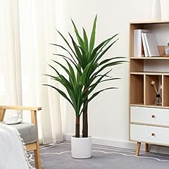 Floworld dracaena indoor for sale  Delivered anywhere in USA 