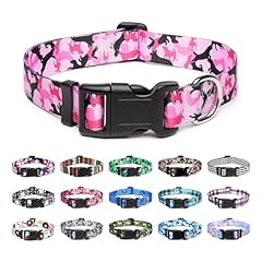 Mercano collier chien d'occasion  Livré partout en France