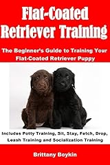 Flat coated retriever for sale  Delivered anywhere in UK