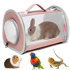 Ioview guinea pig for sale  Delivered anywhere in USA 